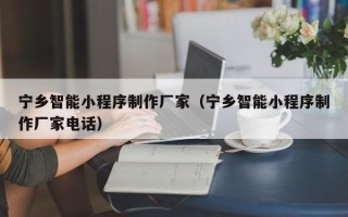 兰州宁乡智能小程序制作厂家（宁乡智能小程序制作厂家电话）